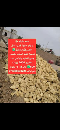 ت