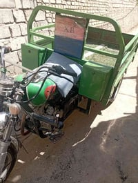 ستوته • ٢٠٢٢ • مكفول