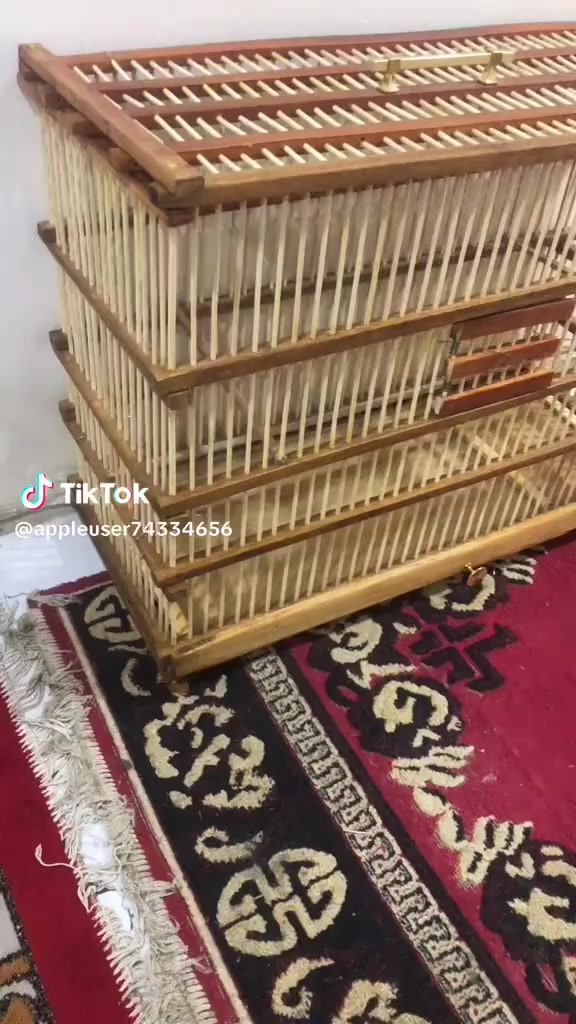 السلام عليكم عمل جميع القفاص البلابل والجميع الخانات الطيور حسب الطلب ونسب الاسعار كل هذا الجمال خشب جاوي ومصبوغ ب40الف
قياسات 80طول نزال35 60ارتفاع
مكاني بصرة ابي الخصيب حمدان 
***********
