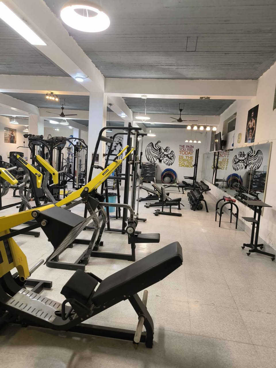 تەق تەق -ابدربیل *********** واتساب فایبەر نامە بنێرە أربيل, العراق
