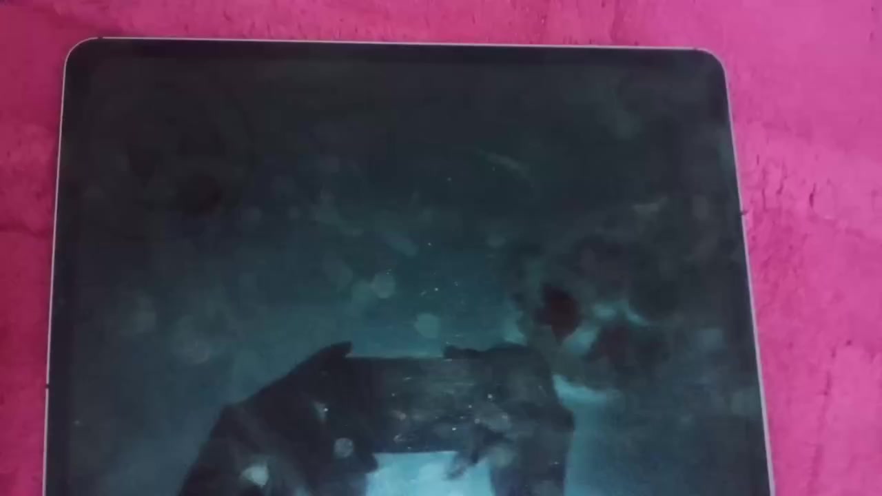 الايباد والحساب للبيع سعر الحساب 500والايباد 550


**إذا كنت صاحب هذا الإعلان وتريد حذفه لأي سبب، رجاءا أرسل رسالة إلى الدعم الفني**