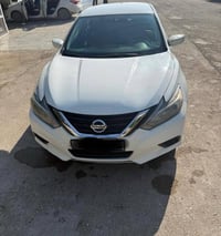 التيما • ٢٠١٧ • ضرر