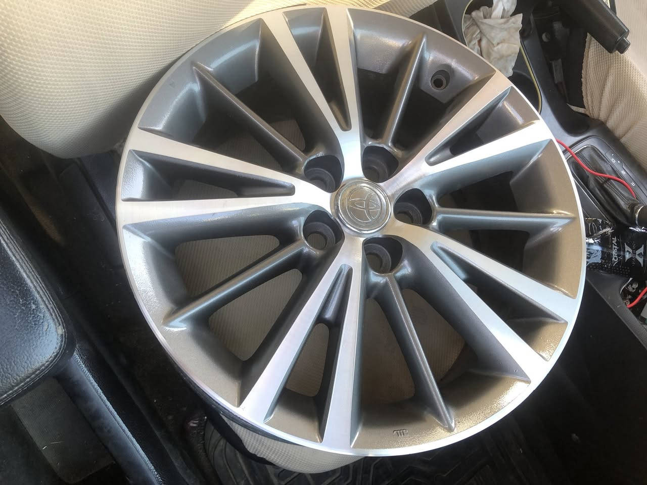 تخم ويل كب كورلا اصلي حجم ١٦  بيع او مراوس بغداد غزاليه ***********
