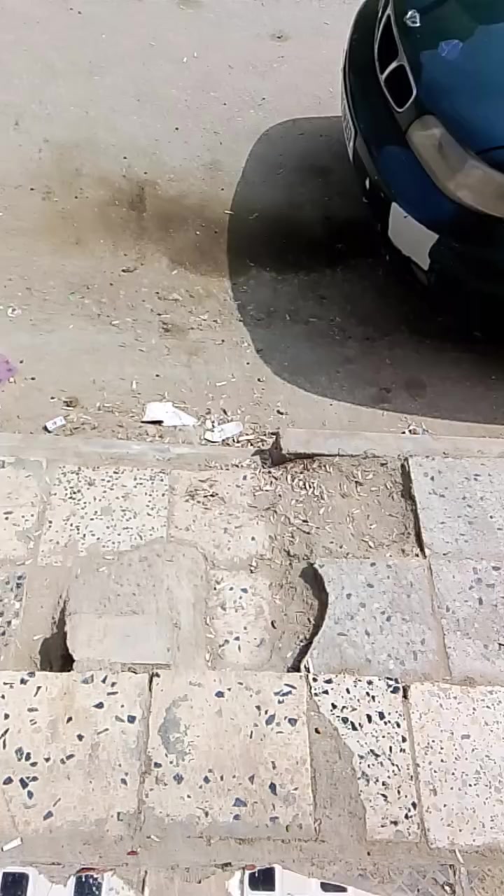 دايو نوبره موديل 97 مكينه مسكر رقم انكليزي باسمي تحويل ثاني العنوان ناصريه مركز السعر 32 البيع لضروف
مكينه وكير حاويه 
ترايك وين ما يعجبك الكهربايات كله شغاله تبريد شغال ابعنوان ناصريه مركز الشراي يتصل ***********
