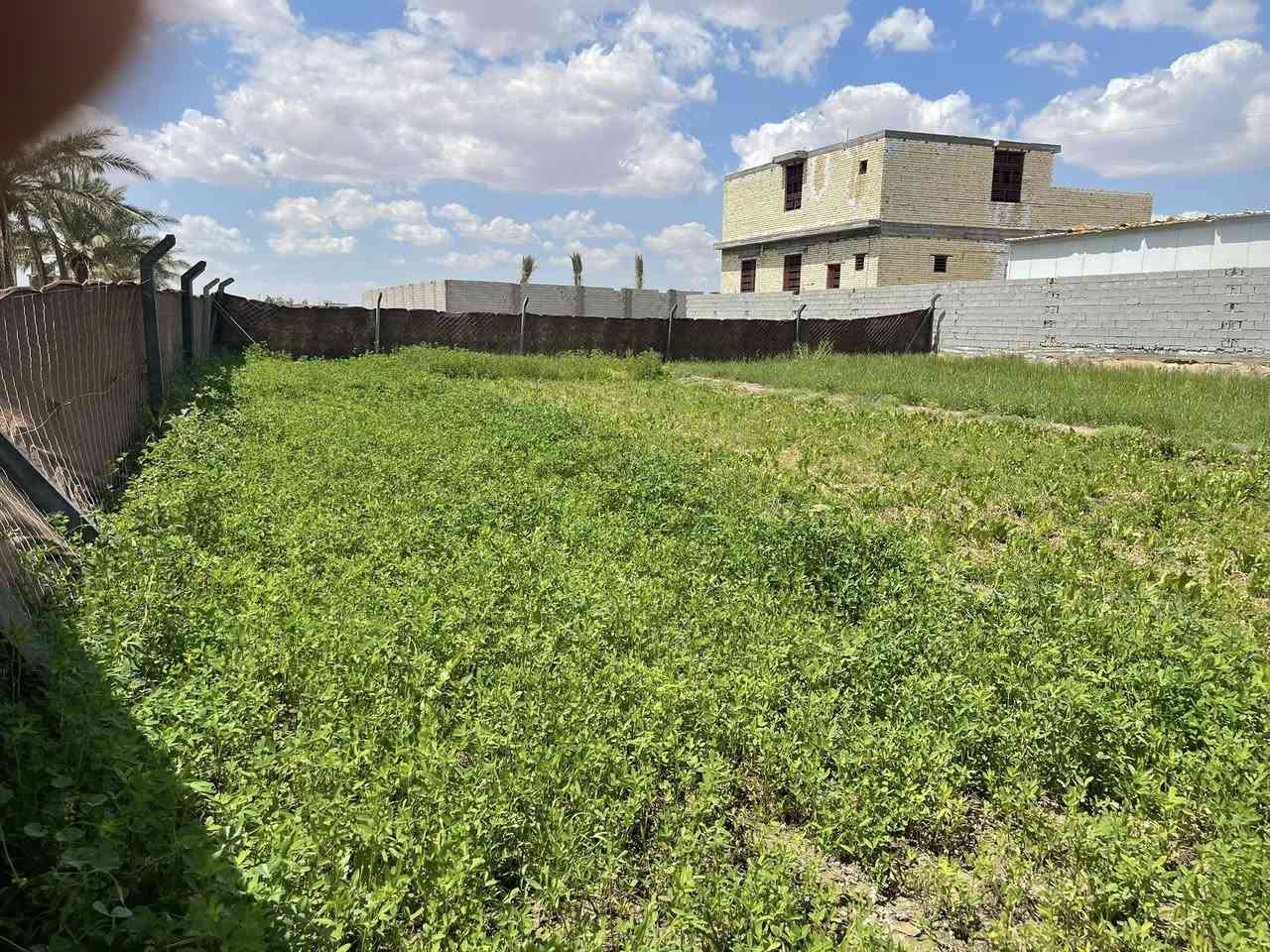 الف متر للبيع طابو 25 اقرار محكمه مع بيت مساحة البيت 200 متر يحتوي البيت على غرفتين وصاله واستقبال ومطبخ بناء بلوك صب مسلح كونكرت في كربلاء منطقة الزبيلية شارع ام البنين كافه الخدمات ماء وكهرباء منطقة سكنية /*********** /***********
