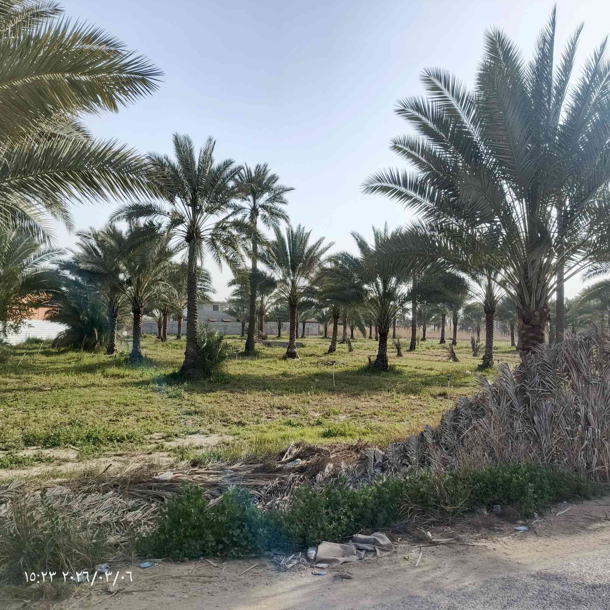 سلام عليكم دونم طابو سند 25 مناصفه شرط يتحول بطابو واجه دونم 32م نزال 78م موقع المدائن سلمان باك منطقه باوي غريب على شارع العام بنص البيوت  #ملاحضه دونم فقط يصلح سكن فقط سكن تواصل على خاص أو على رقم ***********
