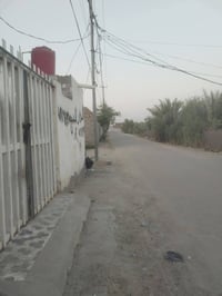 السنيه • زراعي • ١٦٠م