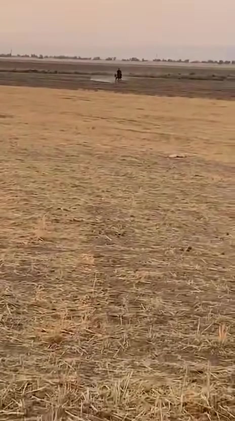السلام عليكم مهره عربيه  فنصه وين جنايه الاصايل
مهره مال جنيه 

العمر 3 سنين ونص 

الارتفاع 153

خاليه من كل عيب واصابه 

مهره ماشاءالله لعب وركص 

المكان صلاح الدين بيجي

مشبيه من الحصان كنز للمالك ابو خديجه قبل شهر تاسع يوم ولادتها بس ابنها مات  

الهاتف *********** 

#ملاحضه خاص مااجاوب الشراي يتصل وحي الله الجميع
