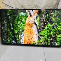 ٤٣ بوصة • ال جي اصلي • ريموت ناطق