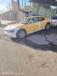 اشعندك ويل للمراوس عندي هذا ١٧  مكاني موصل ٠٧٧٠٥٩٧٥٨٨١ ٠٧٥١٨٥٩٩٦٨٤