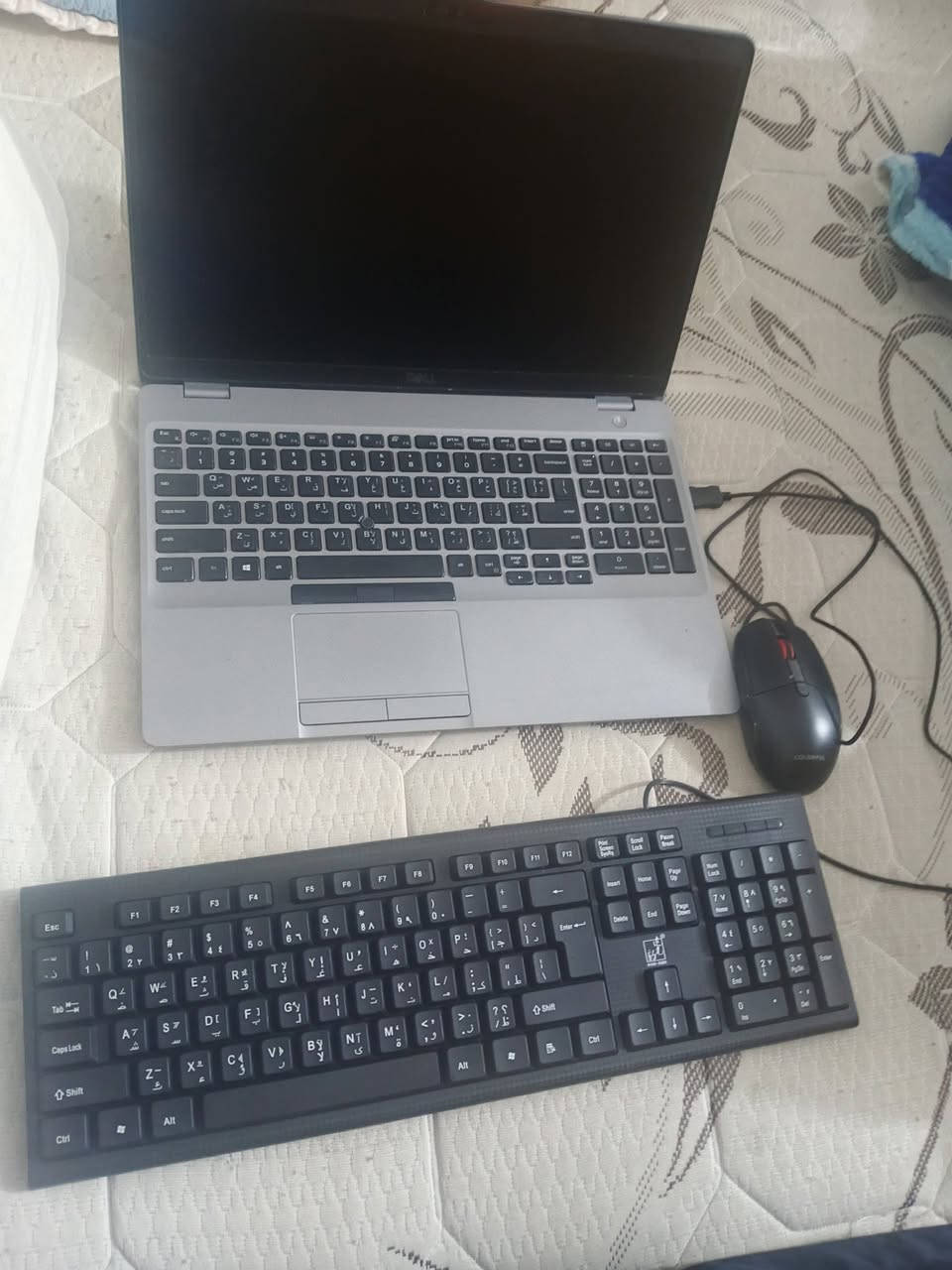 حاسبه نضيفه كلش لل دراسه

جيل 10

ذكره 256

رام 8

عنوان فلوجه 

الاسم حاسبه DELl

سعر 425

وتساب ***********
