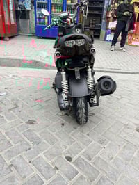 سكنس جبلي • معدلة • كفالة عامة