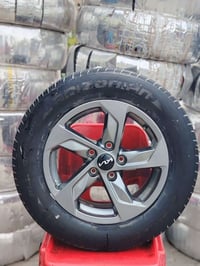 تخم ويل كب حجم 16 اصلي بيع او مراوس المكان بغداد07775550209