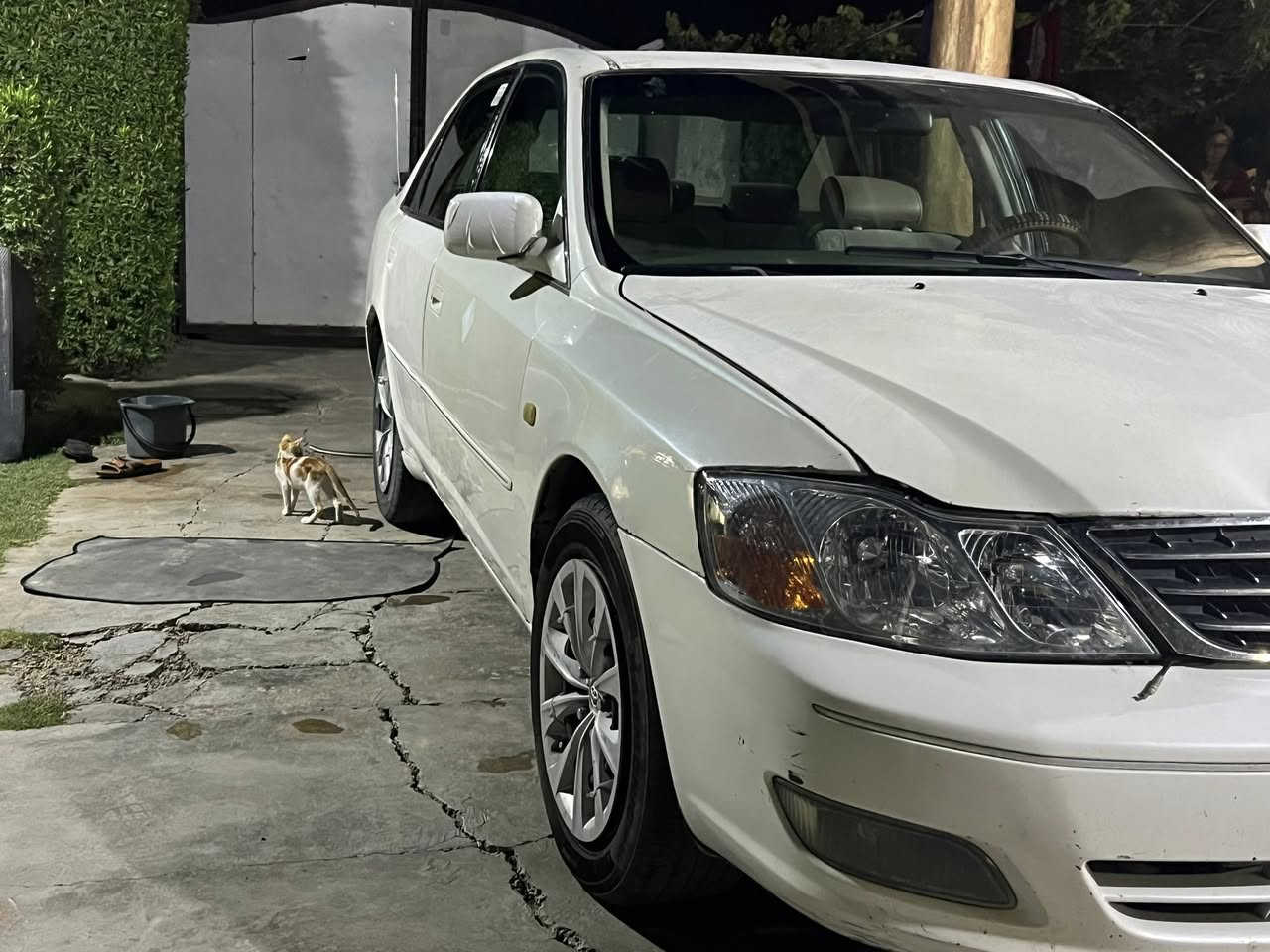 السلام عليكم
افلون للبيع 2001 صبغ حزام للجماليه وكير ومحرك كفاله شرط جاهزه من كلشي ترايك وين ما تريد 
السعر 63وبيها مجال للشراي مكان السياره صلاح الدين الضلوعيه للاستفسار اكثر 
الرقم : ***********
***********
