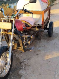 ستوته • كلك كلك • كرمه بني سعيد