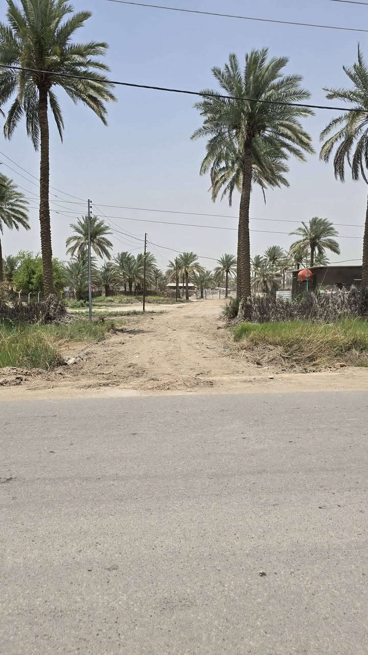 تريد أرض زراعيه وبسعر مناسب تعال يمي اليوم 🌴🌴

 جبنالكم عرض مميز  وبسعر مناسب جدا واحلئ💐
مايكون بهذا العرض هوه المنطقة والجيران الطيبة والهدوء 🍀🍀🍀🍀🍀🍀🍀🍀

 #للبيع ٢ دونم ونصف بمعنى ٦٢٥٠متر 🌴🌴🌴
طابو سند ٢٥ 🌏🌏🌏🌏
مثبتة حددوها ومسيجة بالكامل 🏛
واجه ٧٢ متر 🌏
نزال ٨٧ متر 🌏

   تتوفر كافة الخدمات وتبعد عن شارع البوعلوان الرئيسي ٥٠ متر 
وتبعد عن شارع حله بغداد ٥٠٠ متر 

  كهرباء وماء اساله 🍀🌴🌴🌴🌴

  طريق مستقل مؤدي الى الارض🏕🏕🏕🏕

باقي التفاصيل موضحه في مقطع فيديو والصور 📷 

الموقع بابل قضاء المحاويل قرية البوعلوان شارع ابو الطياره تبعد عن شارع حله بغداد ٥٠٠ متر 

🌿🌿🌿🌿🌿🌿🌿🌿🌿🌿🌿🌿🌿
للإستفسار اكثر او معرفة السعر يرجى مراسلتنا او  الاتصال على الارقام التاليه او زياره مكتب عقارات اراضي المحاويل الكائن في قضاء المحاويل حي ١٧ قرب مقهى الصياد القديم 
*********** / *********** حسين أبو شمس
