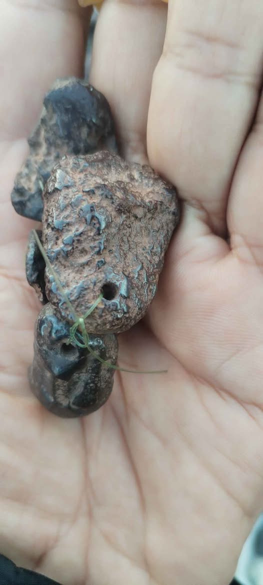 توفر حجر معدني زوجي للطاقه الإيجابية
السعر ١٥ الف للزوج مع التوصيل
للطلب واتساب *********** بغداد, العراق
