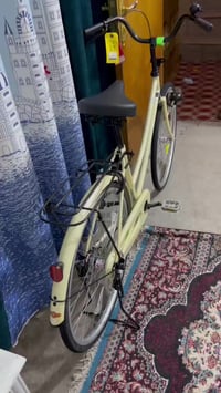 باسكل • حليبي • نجف العدالة