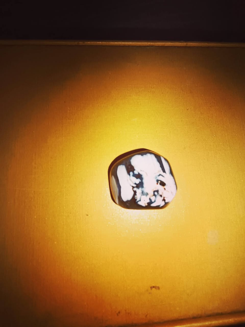 حجرة داودي مصور للبيع


**إذا كنت صاحب هذا الإعلان وتريد حذفه لأي سبب، رجاءا أرسل رسالة إلى الدعم الفني**