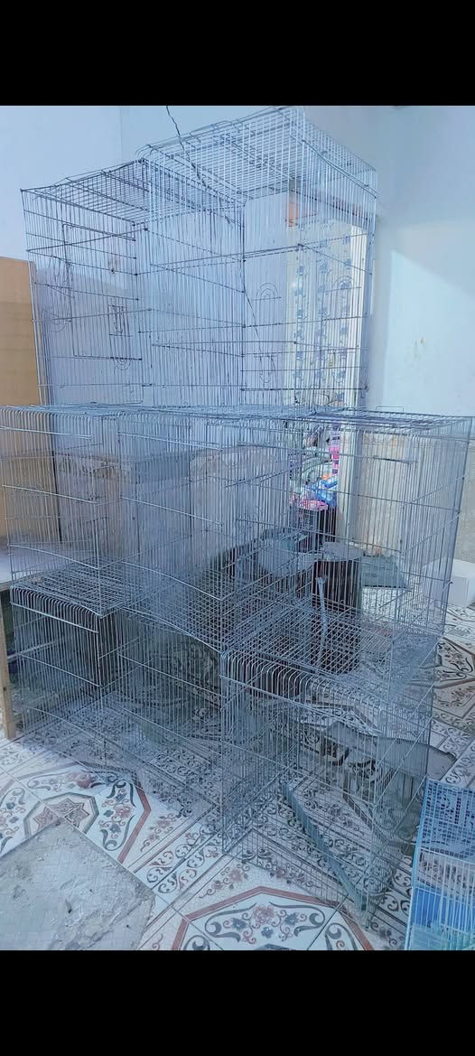 خانات طيور + قفاصة  نواع الحجام +هاسكيات وجهيات حديد *********** المكان ميسان ابرمانة ***********
