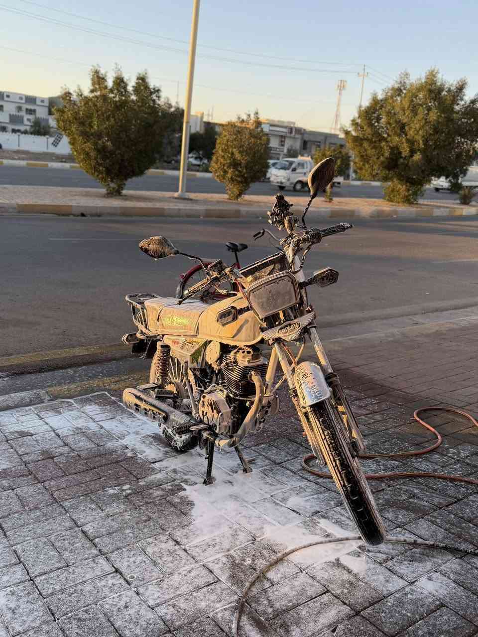 السلام عليكم دراجه للبيع نوع سونك محرك200 موديل2025 مختم سبع اختام الدراجه بحاله شركه مستعمل شهر  سعره950 الف وبي مجال قليل والي يعجبه يتفضل خاص


**إذا كنت صاحب هذا الإعلان وتريد حذفه لأي سبب، رجاءا أرسل رسالة إلى الدعم الفني**