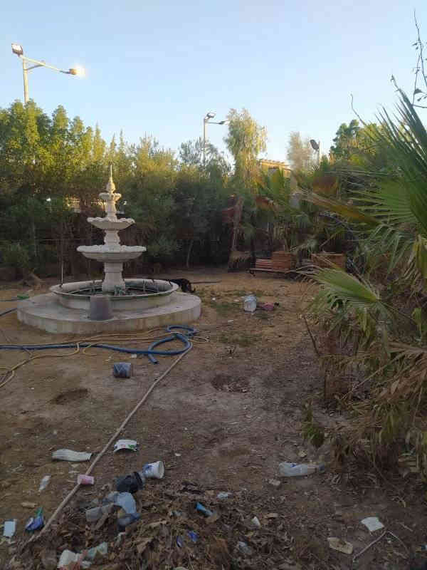 بسم الله الرحمن الرحيم اسعد الله اوقاتكم احبتي يتوفر لدينا 1300 متر وبيه بيت قاطين يتكون من 8 غرف كبيرة وديوان وحديقة كراج جبير طابو زراعي عراقي مكاتبه وي صاحب الارض عنوان البصره ابو الخصيب ام نعاج طريق معمل ثلج الامي وطب سعر 650 وبيه مجال ***********.    ***********
