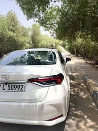 كورلا خليجي • ٢٠٢٠ • رقم اربيل