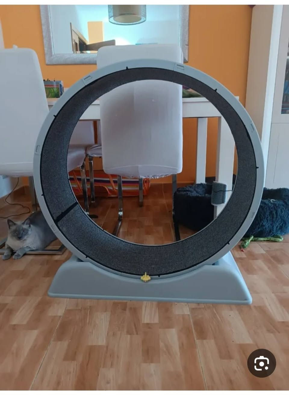 لعبة قطط سعرهه 10


**إذا كنت صاحب هذا الإعلان وتريد حذفه لأي سبب، رجاءا أرسل رسالة إلى الدعم الفني**