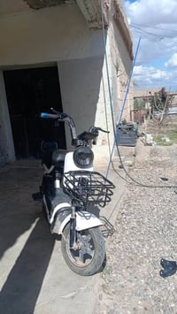 دراجة شحن • حجم 14 • موديل 2024