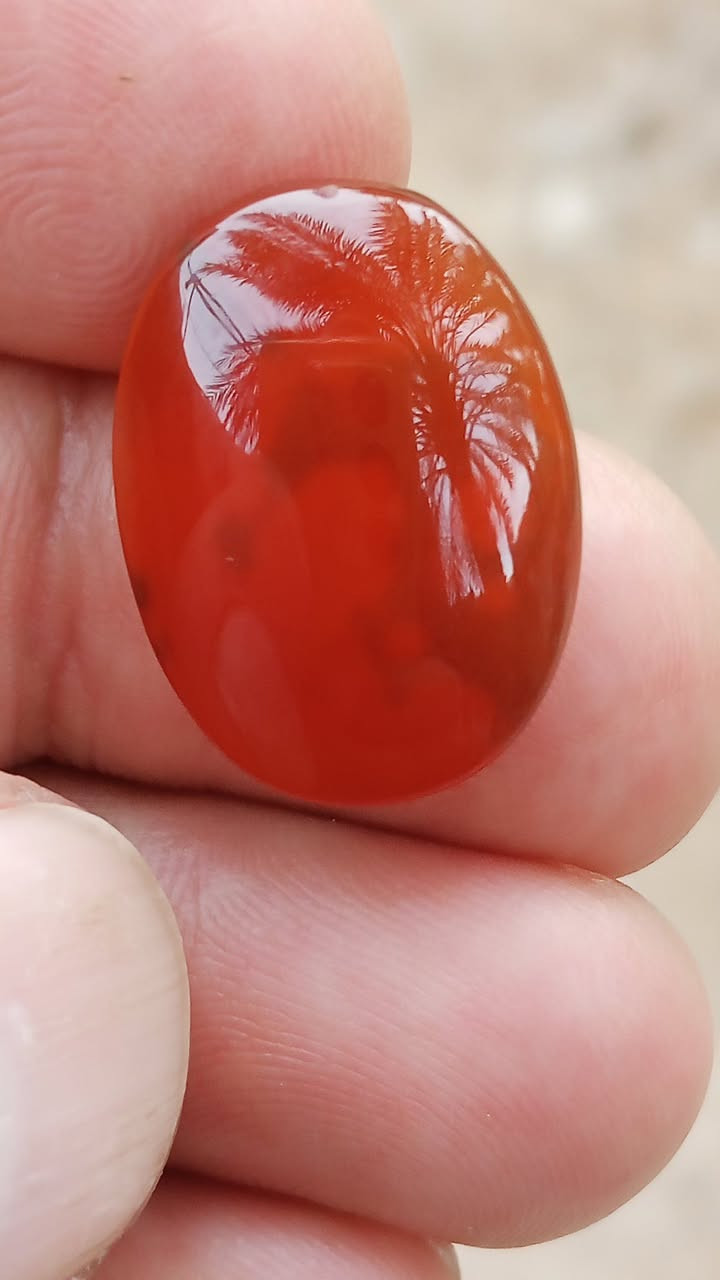 رواعع اليماني الانسي الحر الملكي المصور ول الشجري الغير مجمر التواصل خاص


**إذا كنت صاحب هذا الإعلان وتريد حذفه لأي سبب، رجاءا أرسل رسالة إلى الدعم الفني**