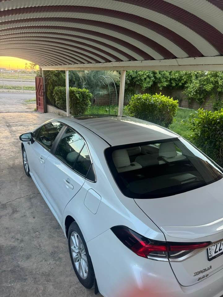 كورلا 2025
ماشيه 20000الف
شركه ساز مكفوله السعر 195 المكان بيجي الحجاج
للاستفسار ***********
