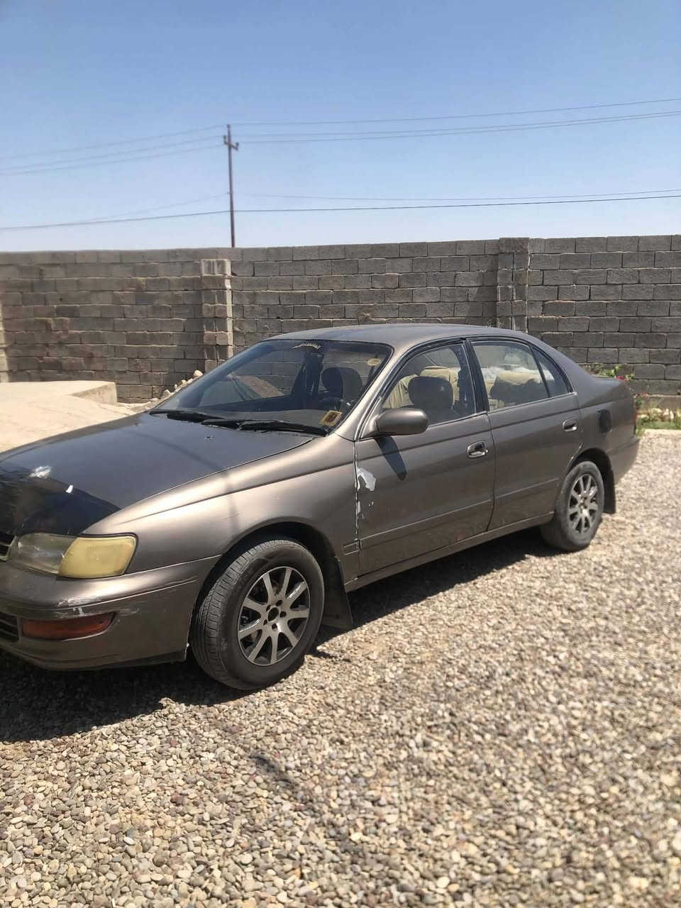 فرخ بطه موديل 92للبيع مكان ناحية الكوير للأستفسار اتصل 
***********

