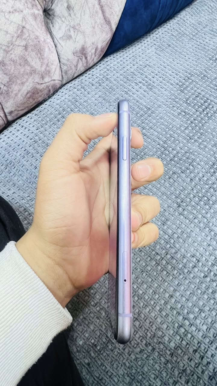 ايفون ١١ عادي .
جهاز كلش نضيف 
مبدل شاشه تفصيخ
بطاريه٩٥ معليه 
كلشي بي شغال 
فقط بيع بدون مراوس 
نموذج M
ادفع سعر واخذوو


**إذا كنت صاحب هذا الإعلان وتريد حذفه لأي سبب، رجاءا أرسل رسالة إلى الدعم الفني**