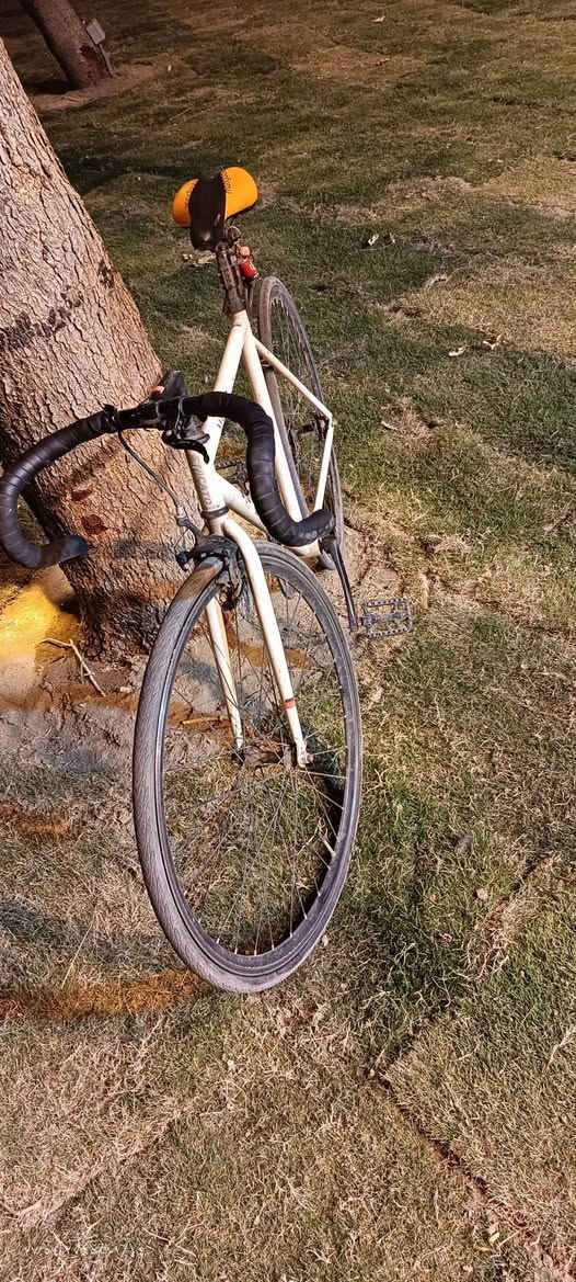 سلام عليكم 
فكسد للبيـ ـع مكاني بغداد 
فريم 50 
وزنة بحدود ال 9 كيلو


**إذا كنت صاحب هذا الإعلان وتريد حذفه لأي سبب، رجاءا أرسل رسالة إلى الدعم الفني**