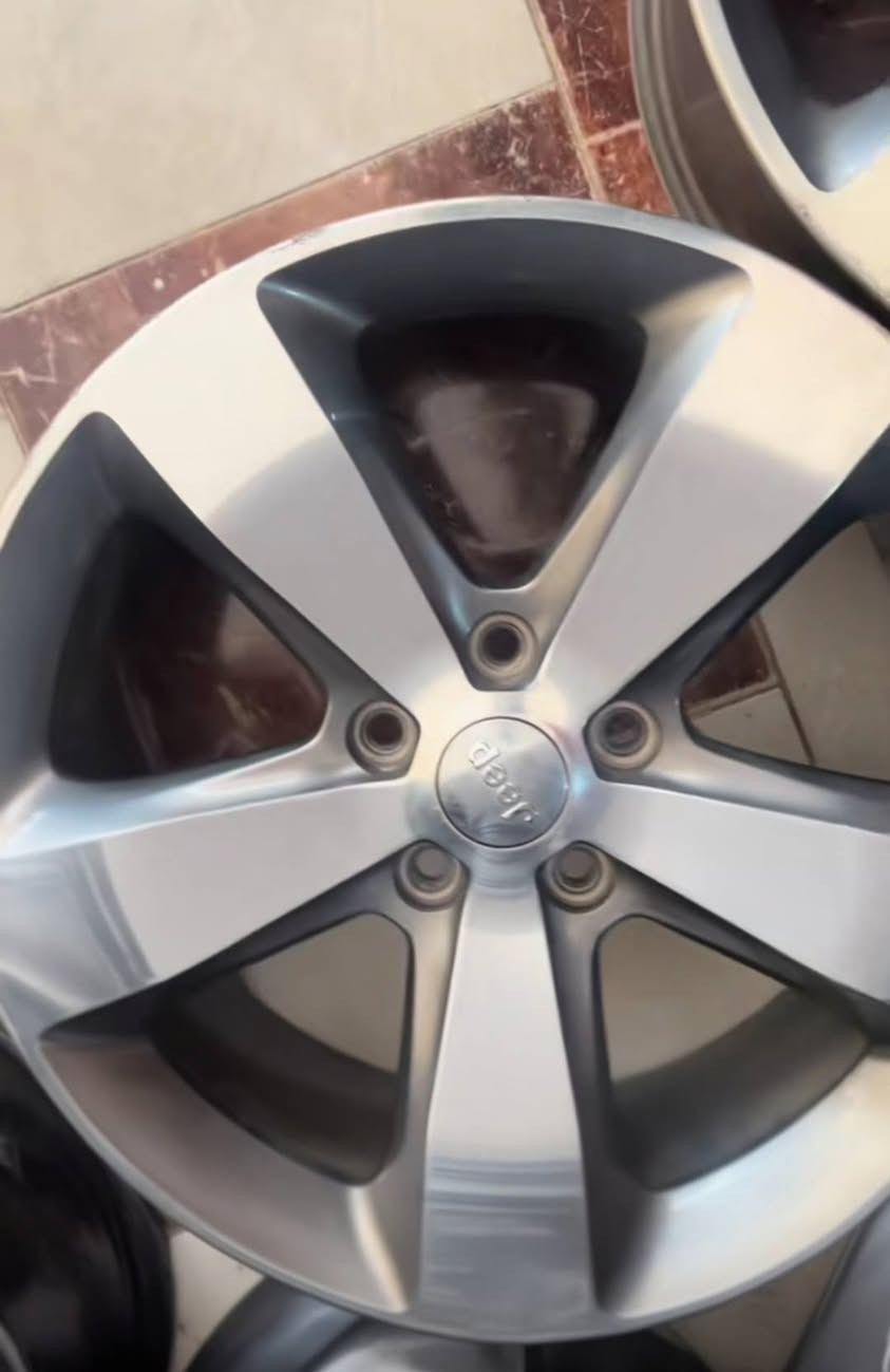 للبيع تخم ويل جيب حجم 20 اصلي كفاله عواج لحيم فطر السعر ٤٥٠ الف قفل قفل قفل ***********
