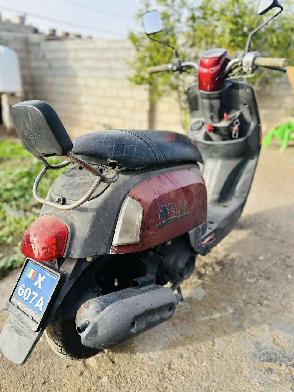 سلام عليكم بوليس كابريتر البيع مراوس
دراجه بيها مكينه حاويه بلاديه بس كفر مبدل 

نقصها باتري هندر واحد مكينه متنسمع حلوه 

سعر 350 مكاني بعقوبه هـ ***********
