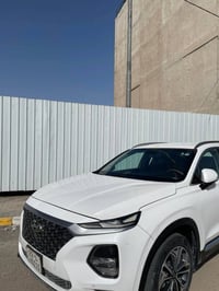 سنتافي • ٢٠١٩ • رقم اربيل