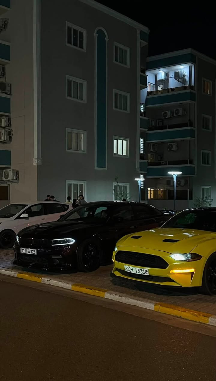 دوج جارجر RT موديل 2022 اصل
لون بنفسجي مميز (Plum Crazy)
 محرك HEMI V8 سعة 5.7 لتر (5700 سي سي)
 برمجة مصطفى إيكل
 السيارة نظيفة والاستعمال خفيف ونصبته تخبل
 رقم بغداد 
 سعره 225 وبي مجال للشراي 
 *********** للتواصل
