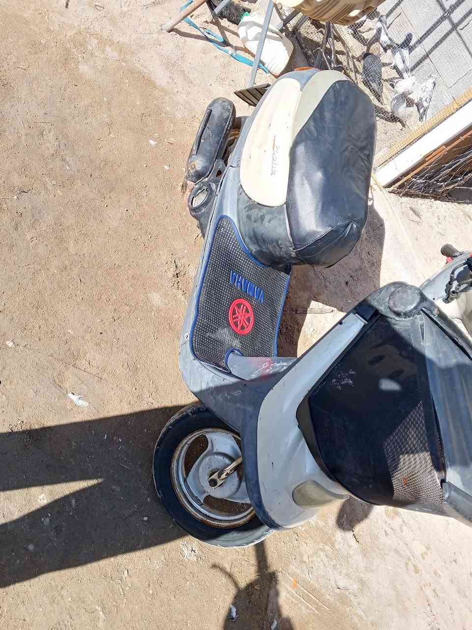 السلام عليكم درجة إلى بيع منغولي ام السله دراجه حلوه ونضيفه شاصي مكفول نكره سلف هندر لايت  اشاير هورن السعر  225 وبيه مجال بسيط مكاني كربلاء الاتصال ***********
