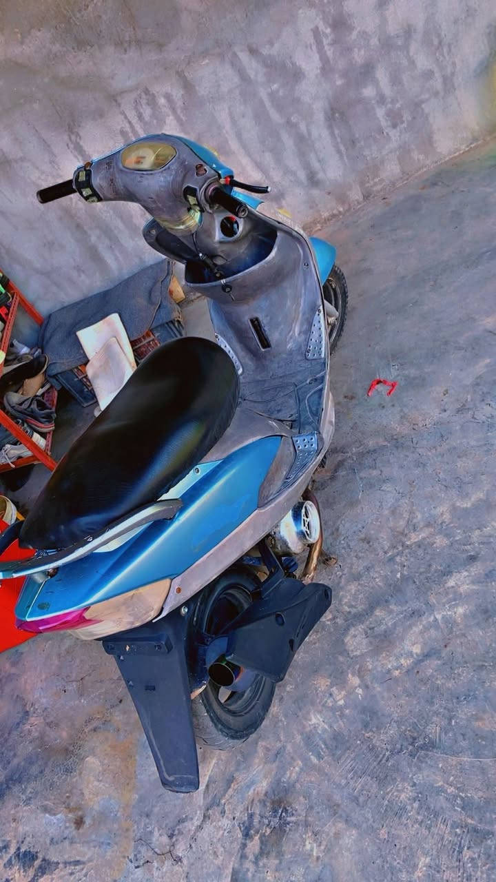 ماكس منغولي للبيع سعر 350 بي مجال مكاني ديالى جلولاء***********
