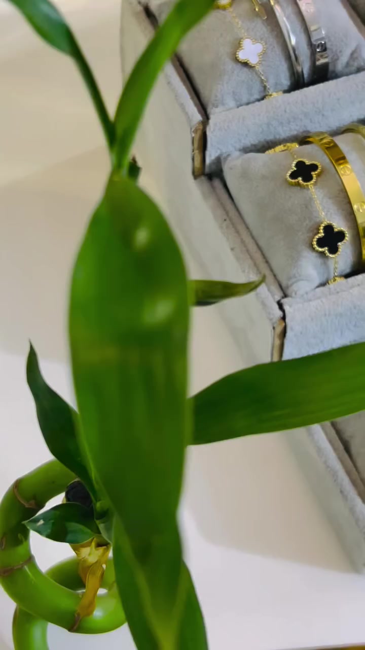 السيت الثلاثي ( الكارتير ، ألفان كليف ، البسمار ) توفر 😍
_كوالتي عالي 
_سعر السيت بــ ١٠ الاف 
_يتوفر خدمة توصيل 📍
#اكسبلور #سيت_اساور_متوفر #فانكليف #بسمار #كارتير


**إذا كنت صاحب هذا الإعلان وتريد حذفه لأي سبب، رجاءا أرسل رسالة إلى الدعم الفني**