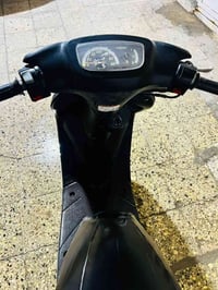 منغولي • مفتوحه • شغاله