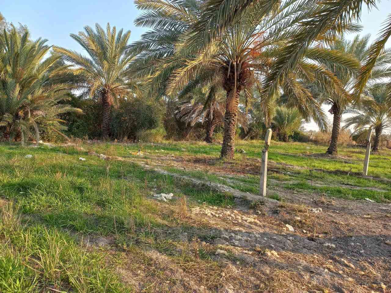 السلام عليكم قطعه ارض نص دونم للبيع الاستفسار على هذا الرقم ***********
