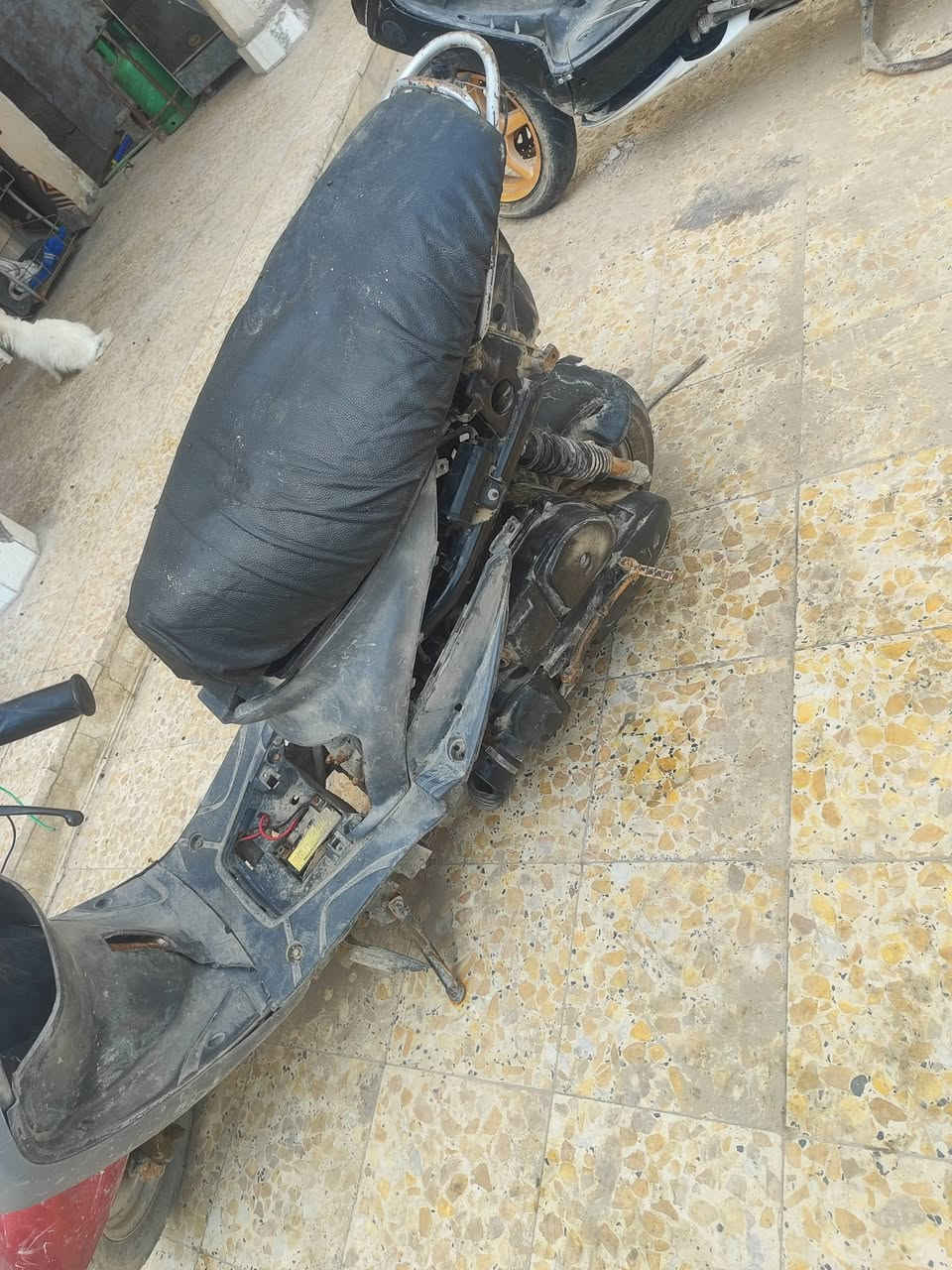 ماكس قجمه الدراجه بيها نقوصات
الدراجه كهربائياتها طافيه يعني حربيه بس تشتغل دكه هندر محركها نظيف شلعتها معدلها يخبلن شراي انطيني سعرك رقمي *********** مكاني بصره مطيحه
