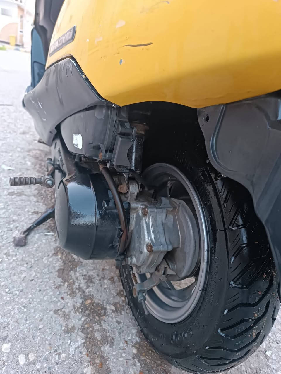 سبيسي نضيفه ياباني مفتوحة رايمر
***********
كوت الزهراء
