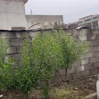 دار للبيع • ٤١٦م • بيسان