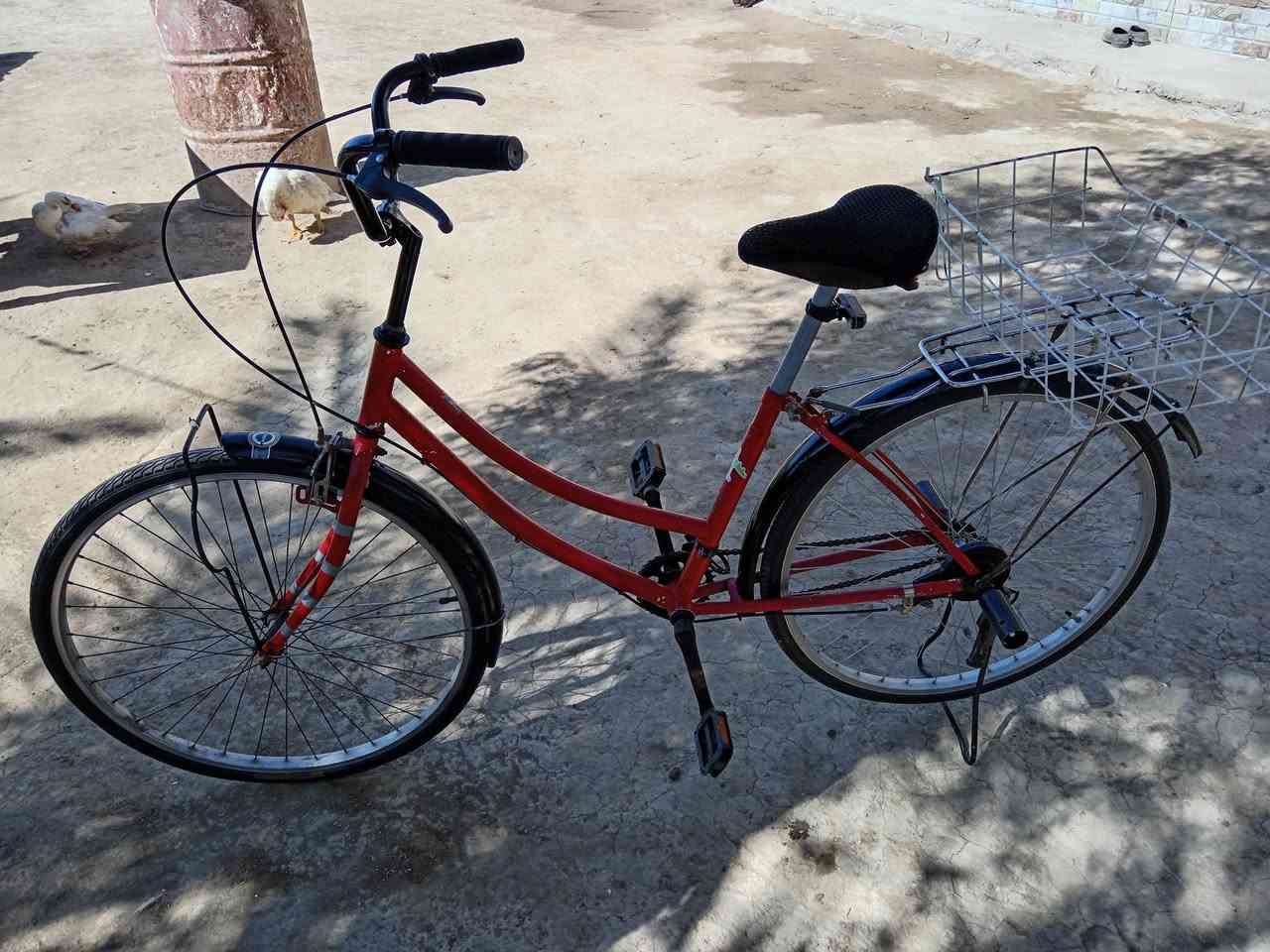 السلام عليكم عندي بايسكل حجم 26 عارضه 80 وبي مجال قليل يوجد خاص


**إذا كنت صاحب هذا الإعلان وتريد حذفه لأي سبب، رجاءا أرسل رسالة إلى الدعم الفني**