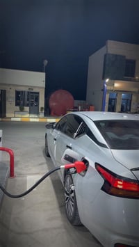 التيما • ٢٠٢٣ • بدون صبغ