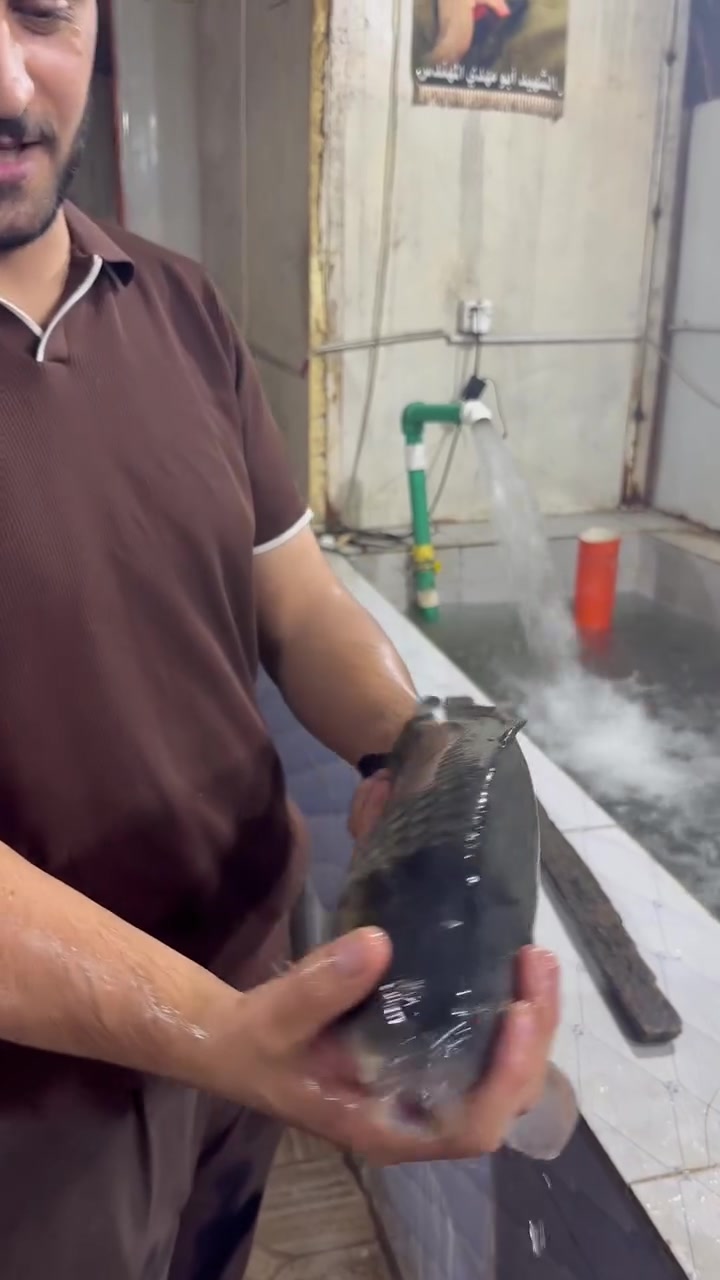 الجمعــــه مباركه 
اسماك ودجاج الكرادي باجر عروضنه 
التمن الاحمر مجانا وطرشي وعمبه وطماطه وبصل علينه مجانا بس السفره عليكم يوجد خدمه توصيل ***********
