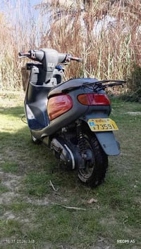 منغولي • ٢٠٠٧ • مكفوله